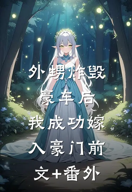 外甥炸毁豪车后，我成功嫁入豪门前文+番外