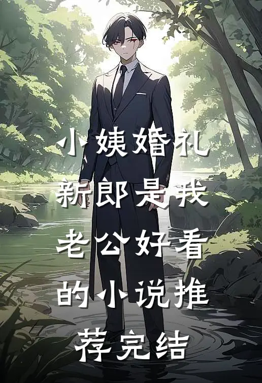 小姨婚礼，新郎是我老公好看的小说推荐完结