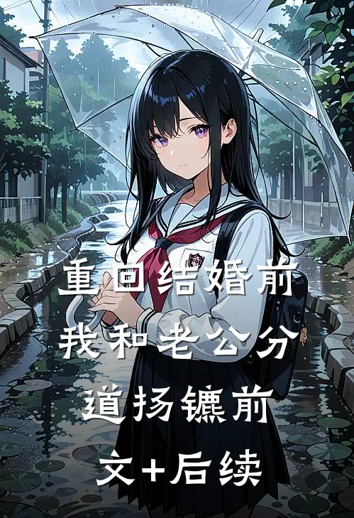 重回结婚前，我和老公分道扬镳前文+后续
