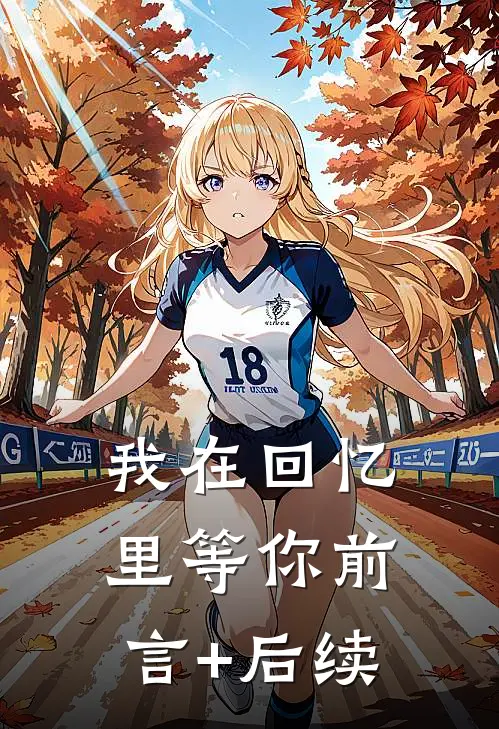 我在回忆里等你前言+后续