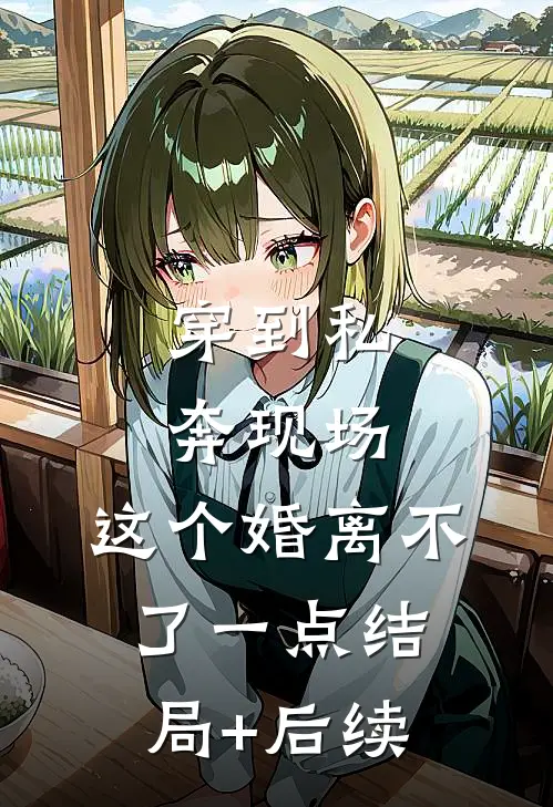 穿到私奔现场，这个婚离不了一点结局+后续