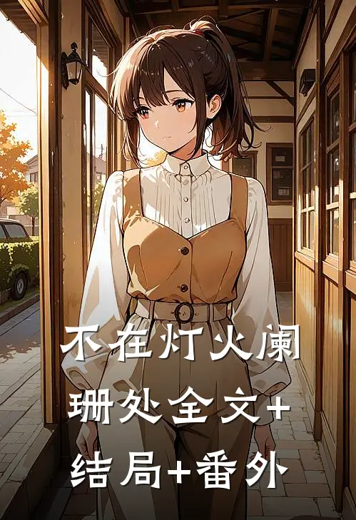 不在灯火阑珊处全文+结局+番外