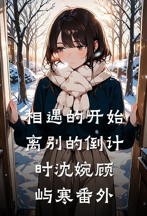相遇的开始，离别的倒计时沈婉顾屿寒番外