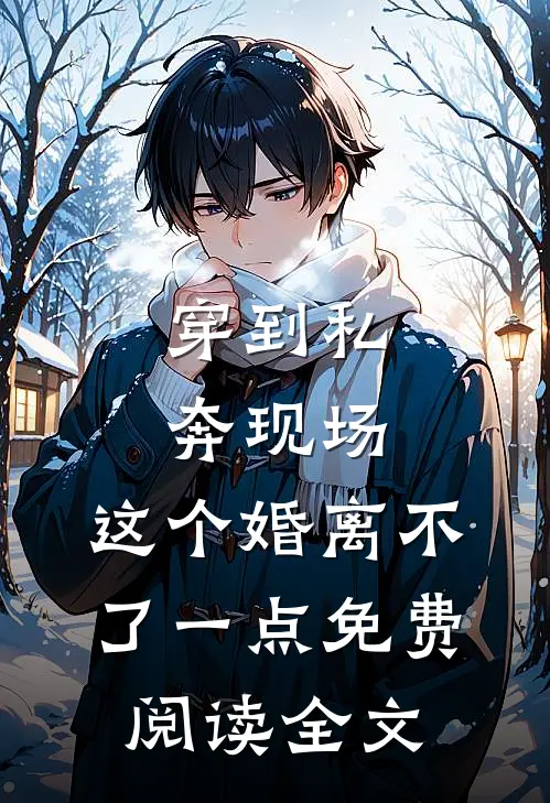 穿到私奔现场，这个婚离不了一点免费阅读全文