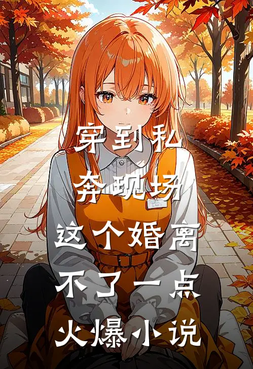 穿到私奔现场，这个婚离不了一点火爆小说