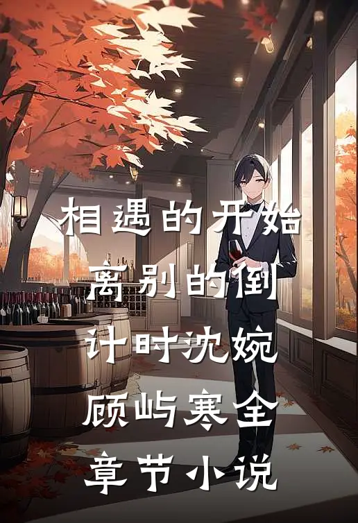 相遇的开始，离别的倒计时沈婉顾屿寒全章节小说