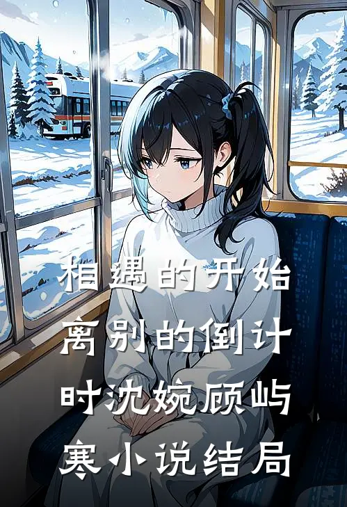 相遇的开始，离别的倒计时沈婉顾屿寒小说结局