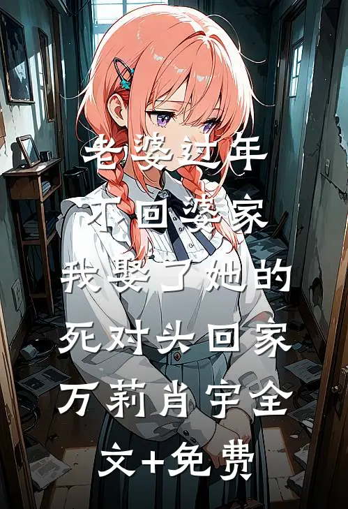 老婆过年不回婆家，我娶了她的死对头回家万莉肖宇全文+免费