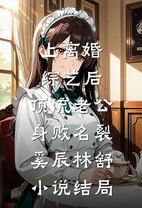 上离婚综艺后，顶流老公身败名裂奚辰林舒小说结局