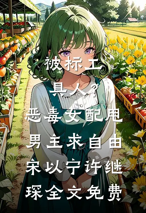 被标工具人？恶毒女配甩男主求自由宋以宁许继琛全文免费