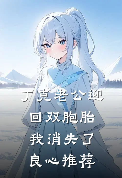 丁克老公迎回双胞胎，我消失了良心推荐