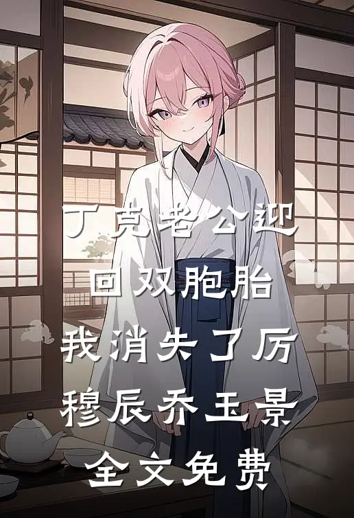 丁克老公迎回双胞胎，我消失了厉穆辰乔玉景全文免费