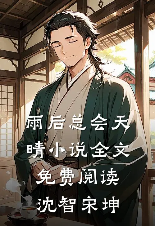 雨后总会天晴小说全文免费阅读沈智宋坤