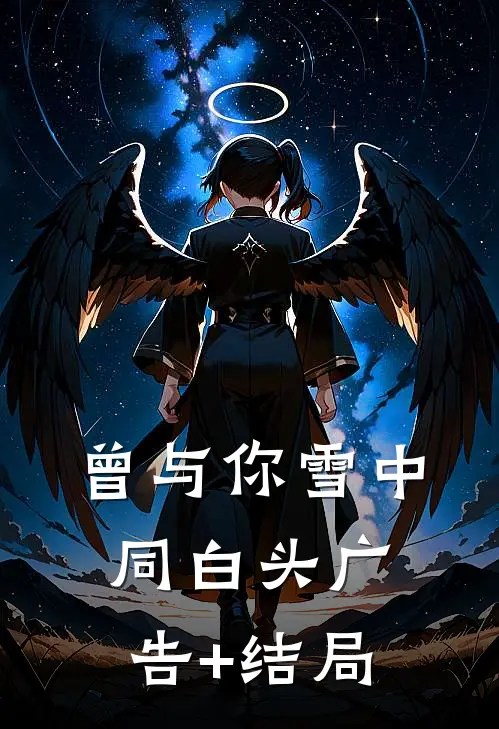 曾与你雪中同白头广告+结局