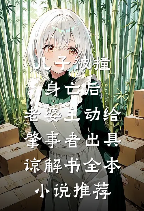 儿子被撞身亡后，老婆主动给肇事者出具谅解书全本小说推荐