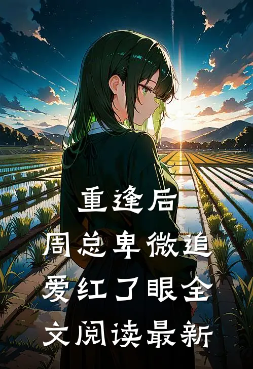 重逢后，周总卑微追爱红了眼全文阅读最新