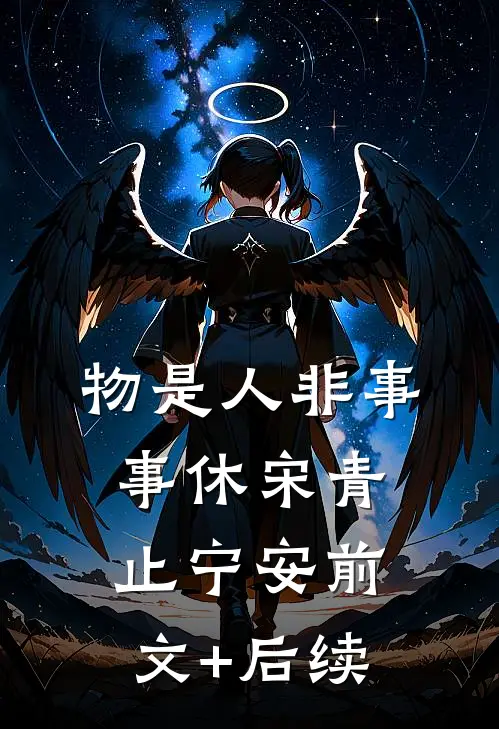 物是人非事事休宋青止宁安前文+后续