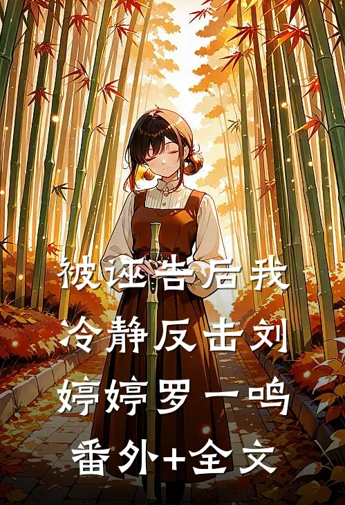 被诬告后我冷静反击刘婷婷罗一鸣(番外)+(全文)