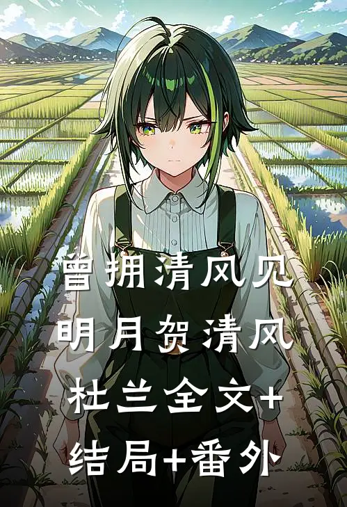 曾拥清风见明月贺清风杜兰全文+结局+番外