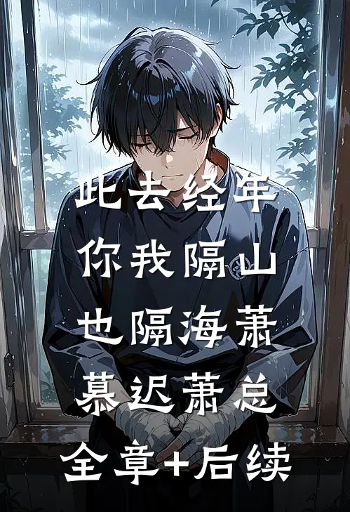此去经年，你我隔山也隔海萧慕迟萧总:全章+后续