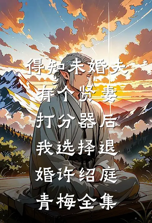 得知未婚夫有个贤妻打分器后，我选择退婚许绍庭青梅全集
