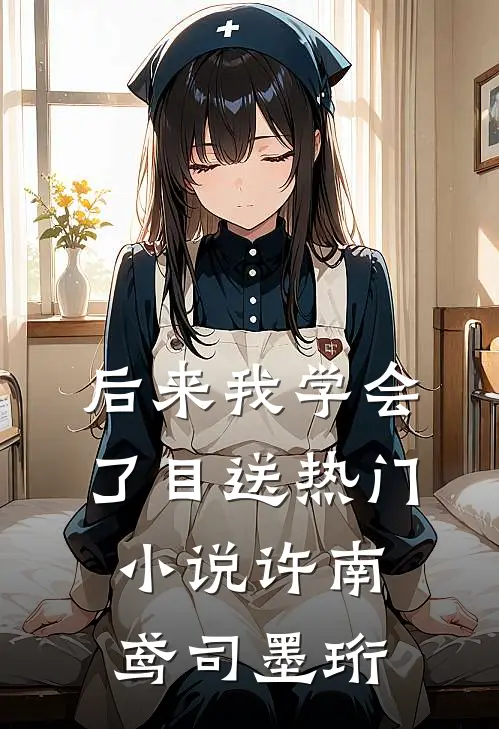 后来我学会了目送热门小说许南鸢司墨珩