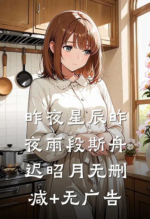 昨夜星辰昨夜雨段斯舟迟昭月无删减+无广告