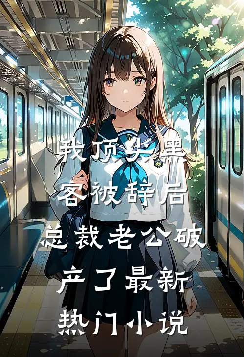 我顶尖黑客被辞后，总裁老公破产了最新热门小说