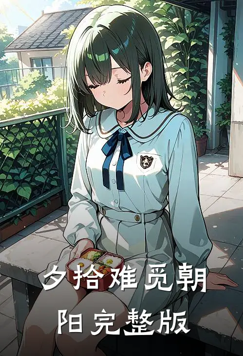 夕拾难觅朝阳完整版