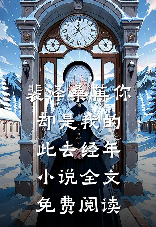 裴泽桑苒你却是我的此去经年小说全文免费阅读