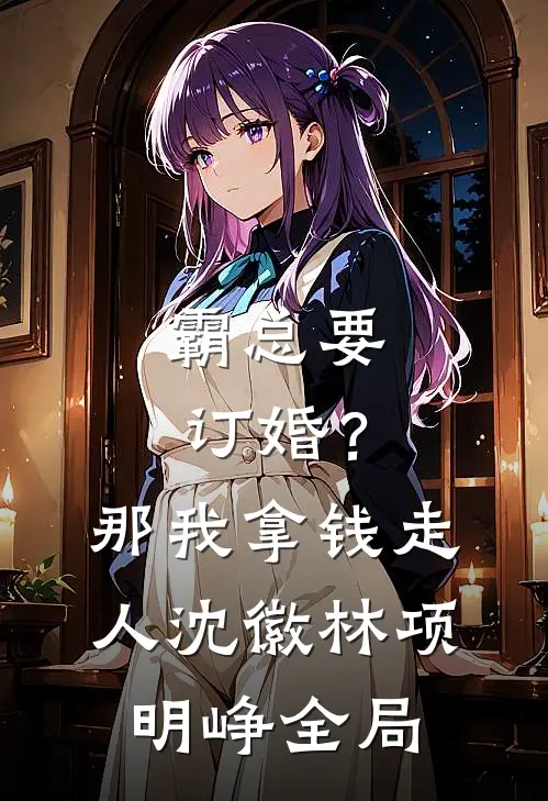 霸总要订婚？那我拿钱走人沈徽林项明峥全局