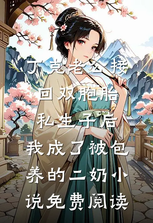 丁克老公接回双胞胎私生子后，我成了被包养的二奶小说免费阅读