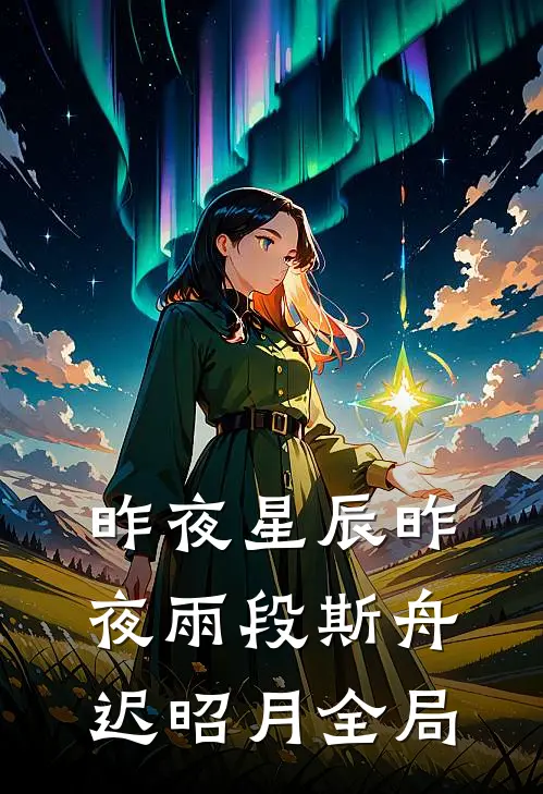 昨夜星辰昨夜雨段斯舟迟昭月全局