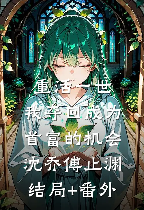 重活一世，我夺回成为首富的机会沈乔傅止渊:结局+番外