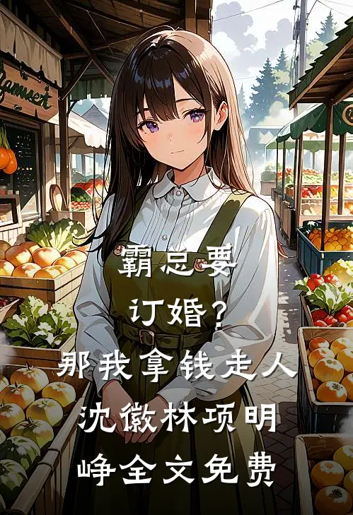 霸总要订婚？那我拿钱走人沈徽林项明峥全文免费