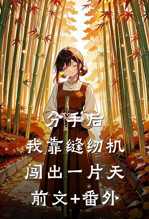 分手后，我靠缝纫机闯出一片天前文+番外