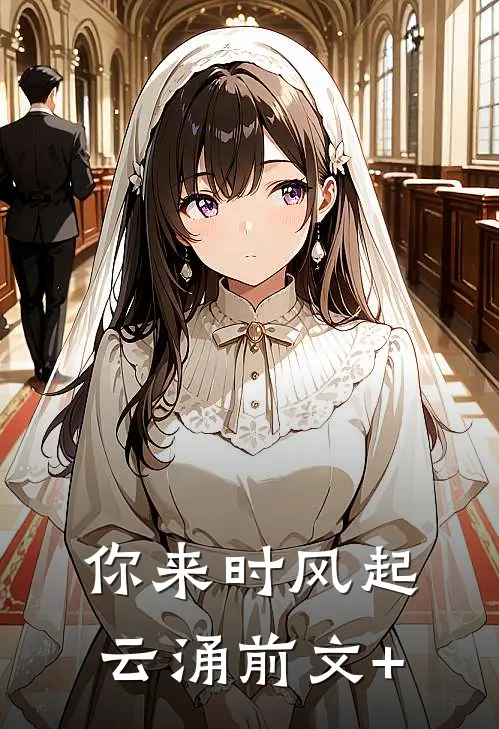 你来时风起云涌前文+