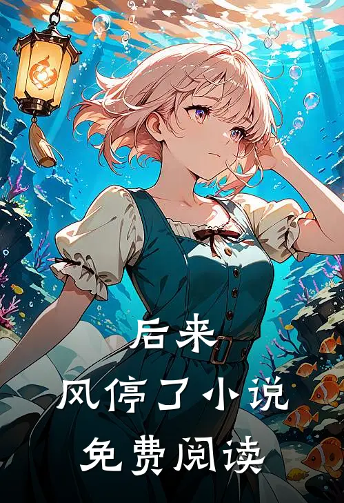 后来，风停了小说免费阅读