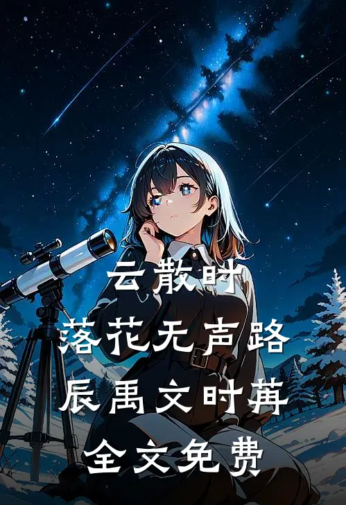 云散时，落花无声路辰禹文时苒全文免费