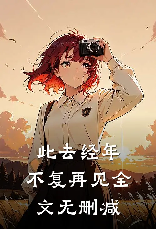 此去经年，不复再见全文无删减
