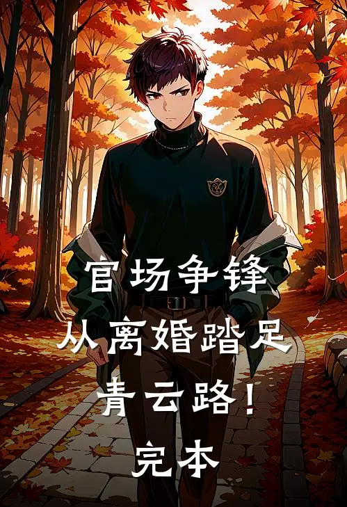 官场争锋，从离婚踏足青云路！完本