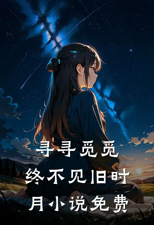 寻寻觅觅，终不见旧时月小说免费