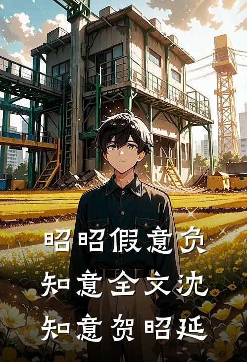 昭昭假意负知意全文沈知意贺昭延