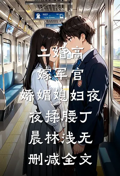 二婚高嫁军官，娇媚媳妇夜夜揉腰丁晨林浅无删减全文