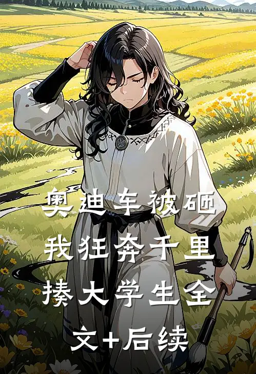 奥迪车被砸，我狂奔千里揍大学生全文+后续