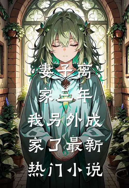 妻子离家三年，我另外成家了最新热门小说