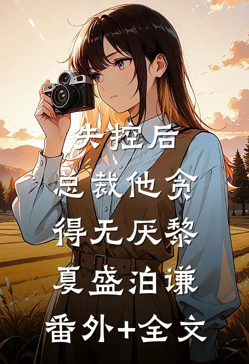 失控后，总裁他贪得无厌黎夏盛泊谦:(番外)+(全文)