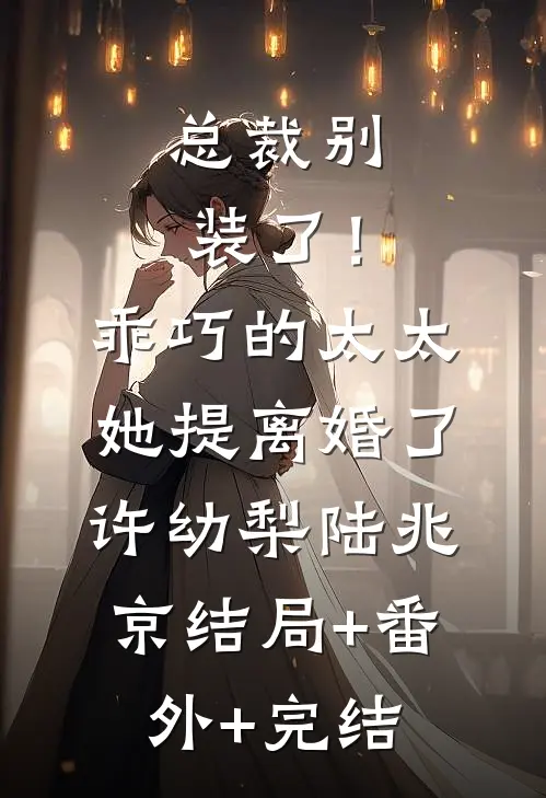 总裁别装了！乖巧的太太她提离婚了许幼梨陆兆京结局+番外+完结