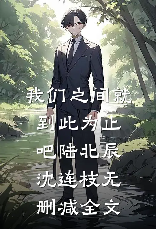 我们之间就到此为止吧陆北辰沈连枝无删减全文