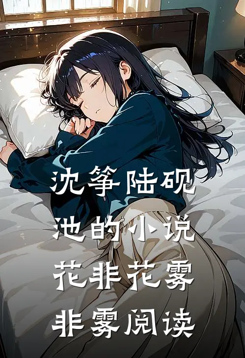 沈筝陆砚池的小说花非花雾非雾阅读